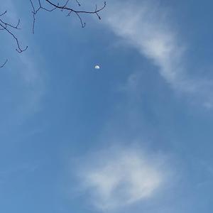 下雨了是我在想你 (翻自创四三公|翻自 林墨)