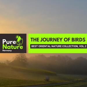 The Journey of Birds - Best Oriental Nature Collection, Vol.2