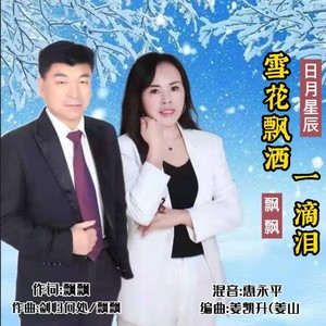 雪花飘洒一滴泪