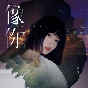 像你 (伴奏)封面