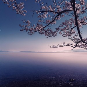 墨尔本晴封面