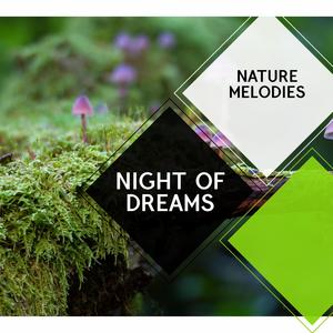 Night of Dreams - Nature Melodies