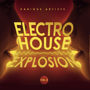 Electro House Explosion, Vol. 2