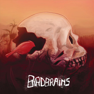 Birdbrains