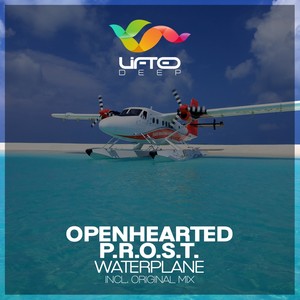 Waterplane