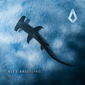Skyfall (Extended Mix)