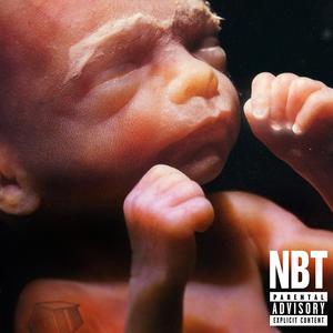 NATURAL BORN THEORISTS (Explicit)