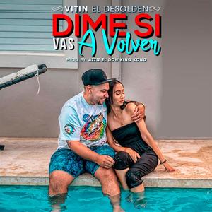 Dime Si Vas a Volver