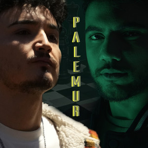 Palemur