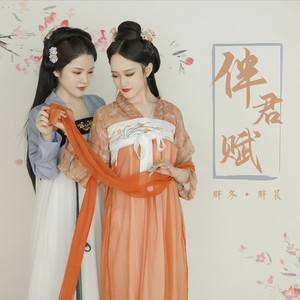 伴君赋
