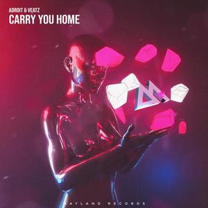 Carry You Home