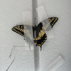 Come over rn (Explicit)