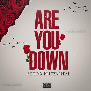 Are You Down (Explicit)