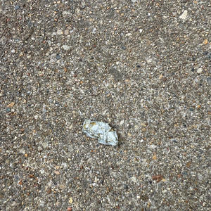 my dog puked this out (feat. Afxckingkid, Broke chic & Toxik)