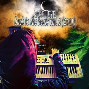 back to the beats vol. 2 (2011)