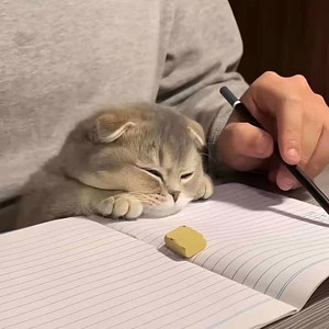最后一页