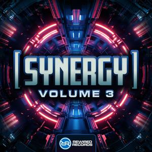 Synergy Volume 3