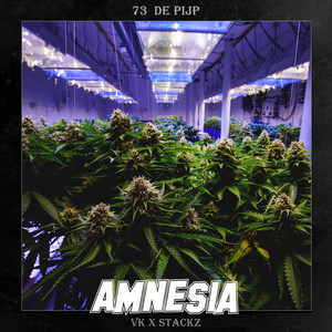 Amnesia