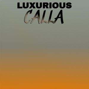 Luxurious Calla