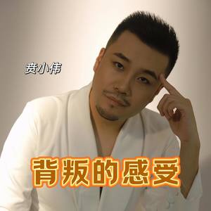 屌丝谁来爱 (DJ舞曲版)