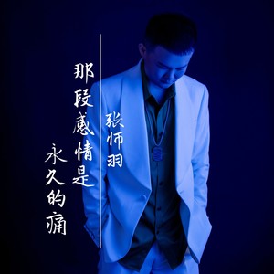 那段感情是永久的痛