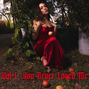 Vol. 1: You Never Loved Me (Explicit)