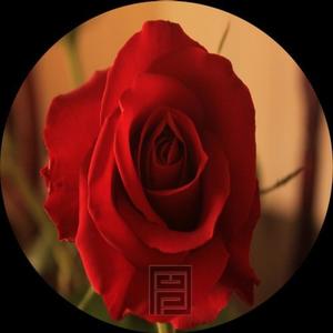 Target M5 (Original Mix)