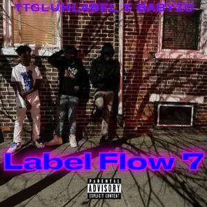 Label Flow 7 (Explicit)