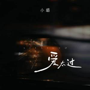 爱太过