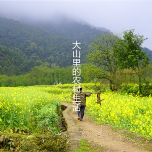 大山里的农村生活
