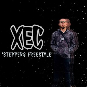 Steppers (UK Freestyle Version) [Explicit]