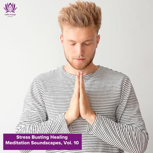 Stress Busting Healing Meditation Soundscapes, Vol. 10