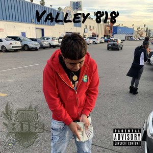 Valley 818