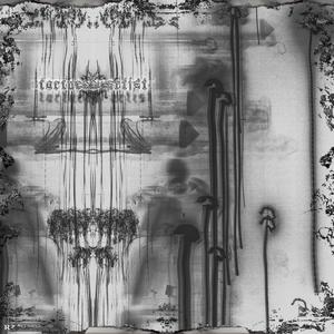 i did something right (Explicit)