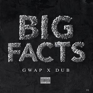 BIG FACTS (feat. Dub) [Explicit]