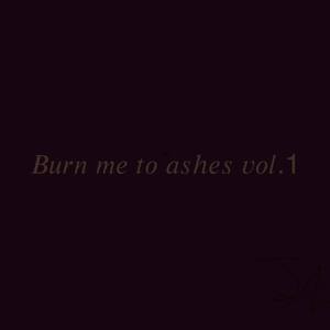 Burn Me To Ashes (Explicit)