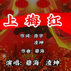 上梅红