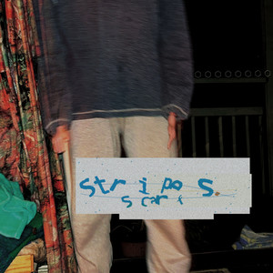 Barking up the Wrong Tree