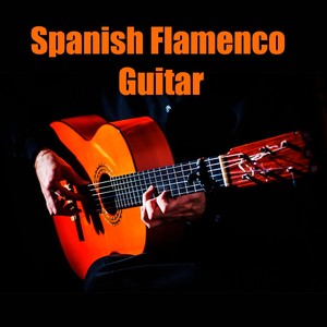 Spanish Flamenco Guitar