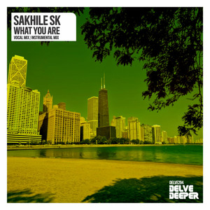 What You Are (Instrumental Mix)