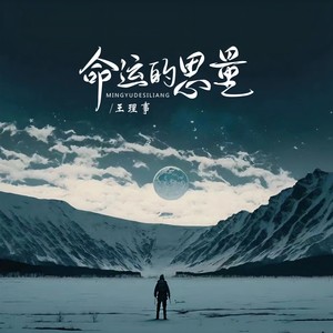 命运的思量 (Live)