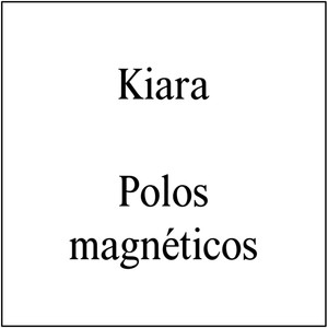 Polos magnéticos