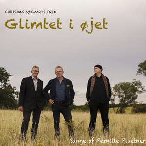 Glimtet i øjet