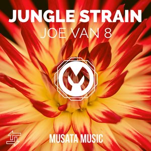 Jungle strain (Original Mix)