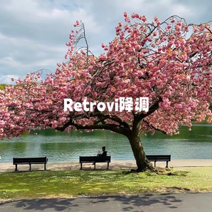 Retrovi降调