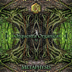 Orquestra Orgânica