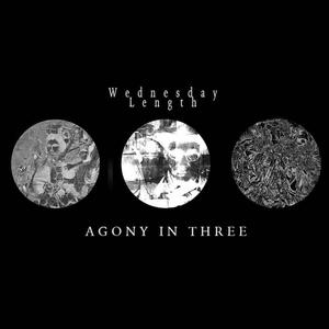 Agony in Three (Explicit)