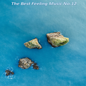 The Best Feeling Music No.12