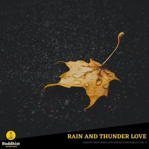 Rain and Thunder Love - Country Night Rains with Crickets and Insects, Vol. 9