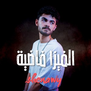 الفيزا فاضية